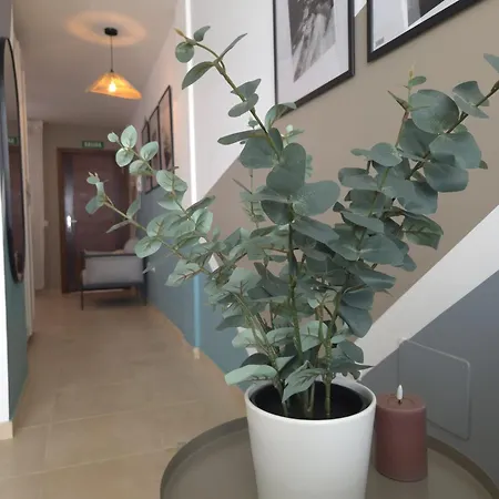 Апартаменты Lagos Loft Frente A La Playa Y Patio Privado
